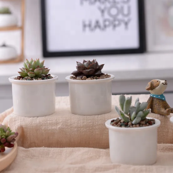 Hot sale in amazon ferris wheel succulents pot flower pot