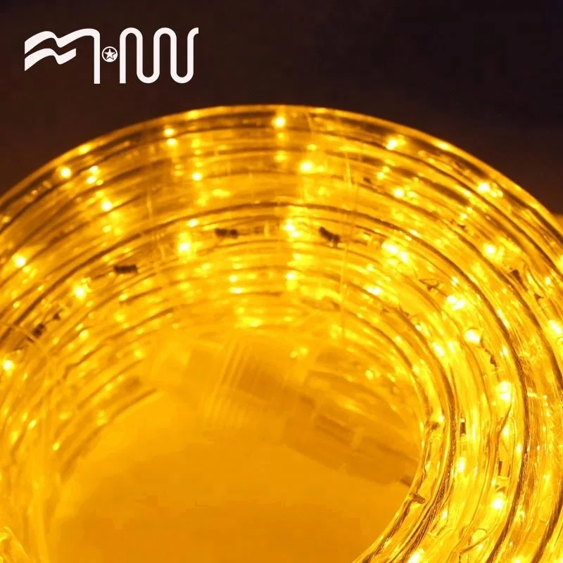 Fashion design plastic lamp led strip for sale rope light