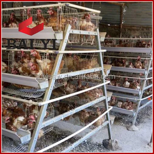 Agricultural Equipment Design Layer Chicken Cages,bird Laying Hens Cheap Chicken Coops, Poultry Chicken Cage for Sal