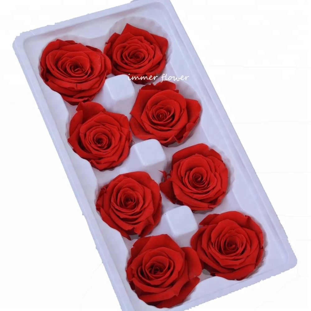 Luxury forever real touch preserved flower preserved roses holland