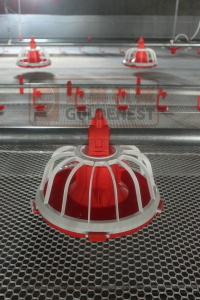 Автоматической подачи курица и пьяница системы для продажи