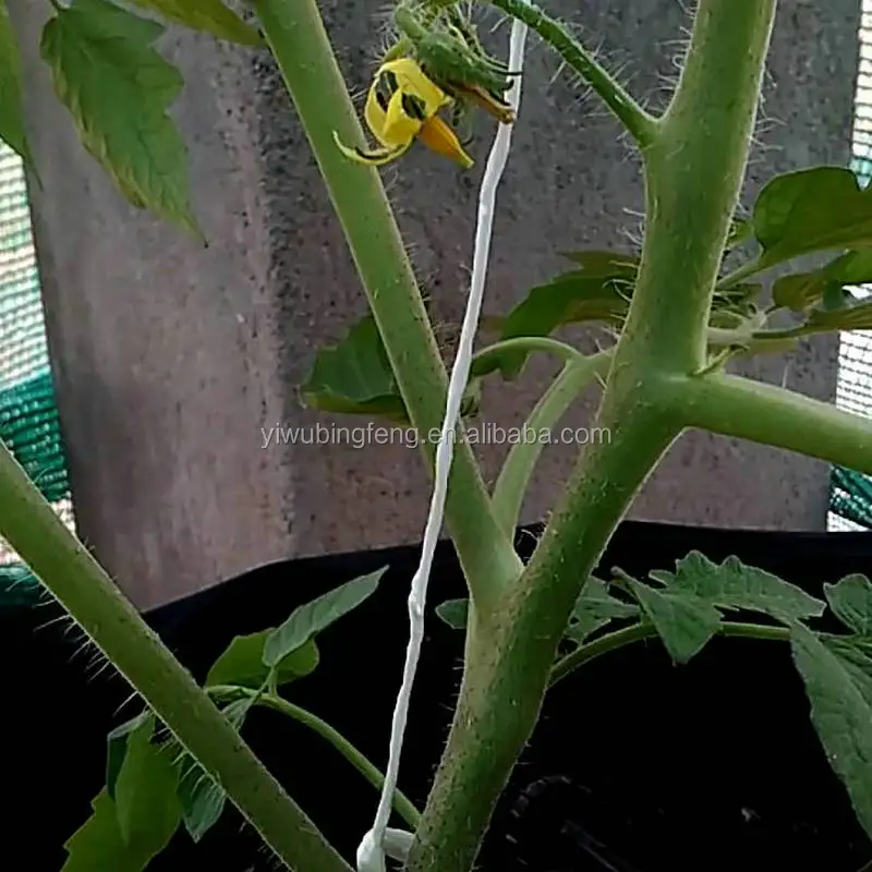 Двойной томатный крючок 18 см с веревкой