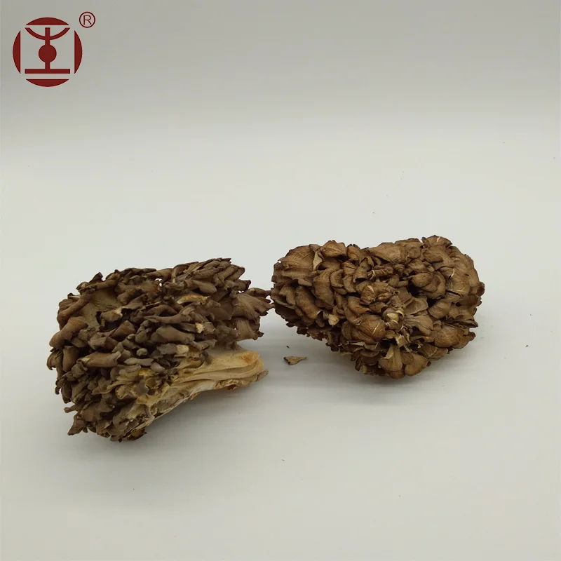 Organic Maitake mushroom Extract 20%-60%; Grifola Frondosa Extract;