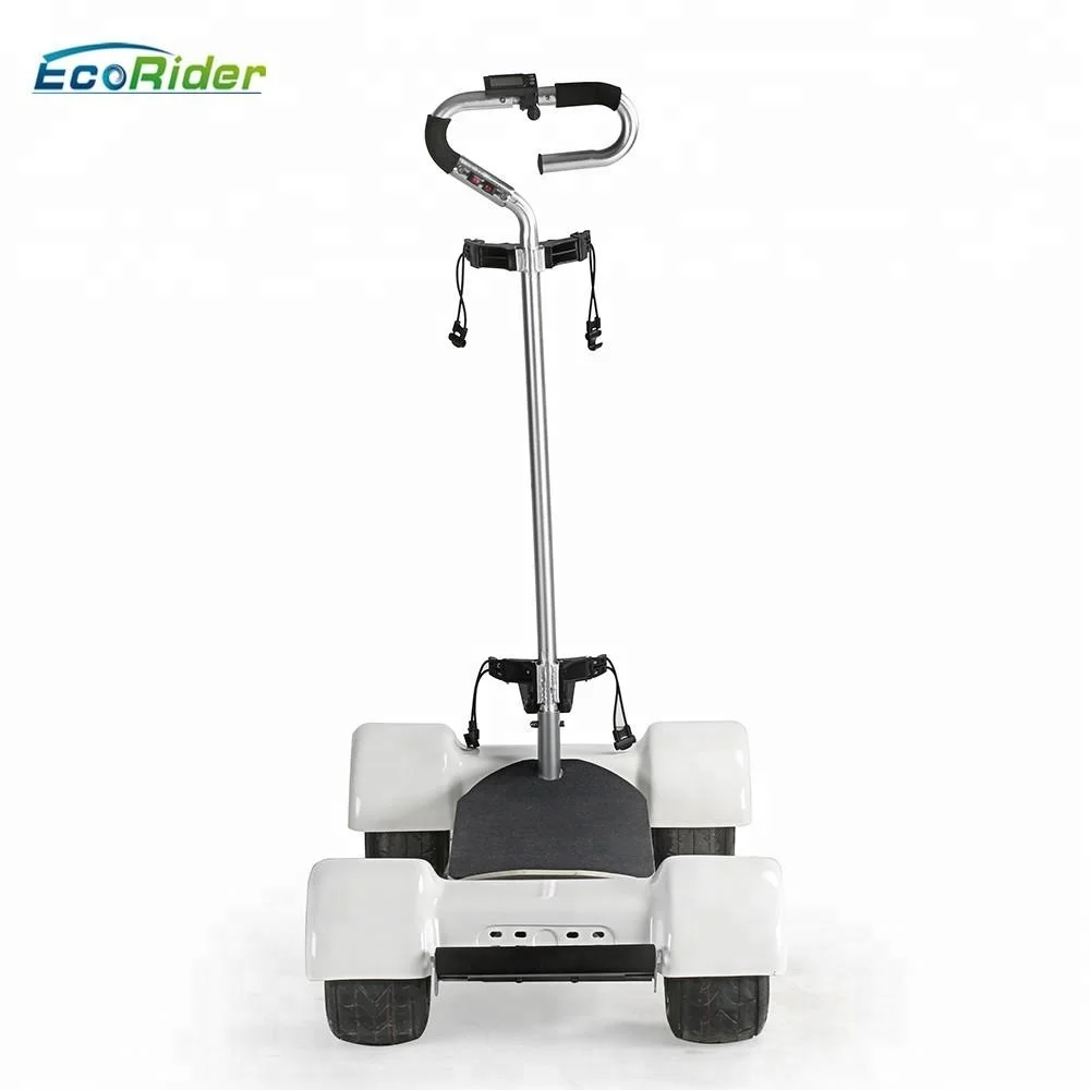 1000w   Electric Golf Board 10inch  Golf Cart electric scooter with chart bag holder