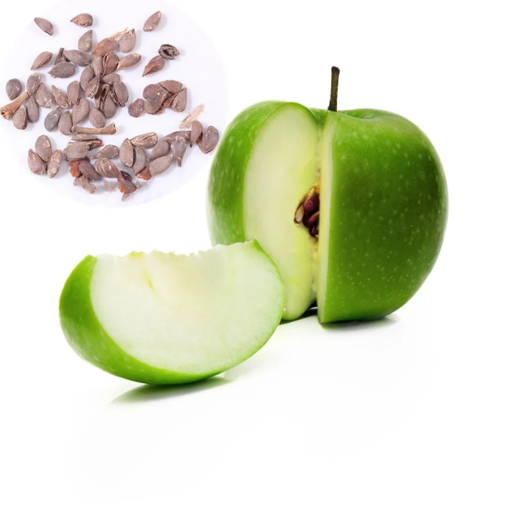 Ping guo Green Color and No Hybrid high neatness apple fruit seed for planting