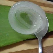 Best Selling Products Private Label Organic Aloe Vera Gel Bulk Pure Soothing Aloe Vera Gel Bulk