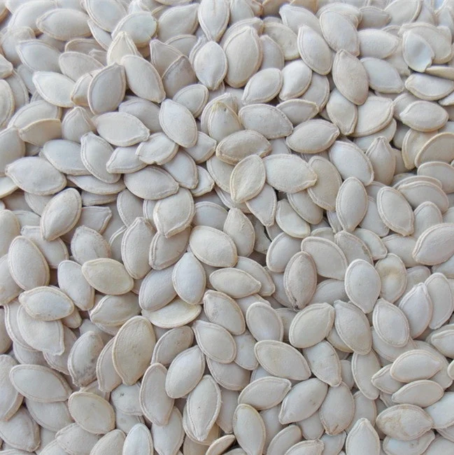Snow White roasted fried chinese  big nut watermelon seeds pumpkin seeds seed