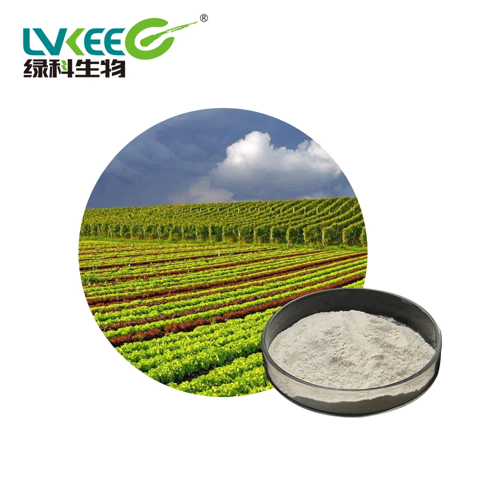 Organic Bio Fertilizer 20 billion cfu/g Bacillus Licheniformis for Agriculture