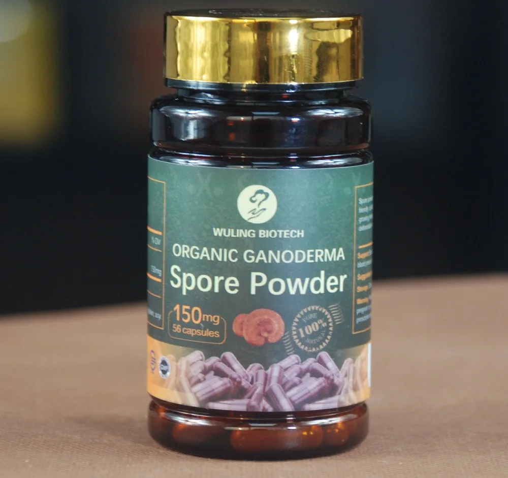Food Herbal Supplement  Ganoderma Reishi Mushroom Spore Powder Capsule