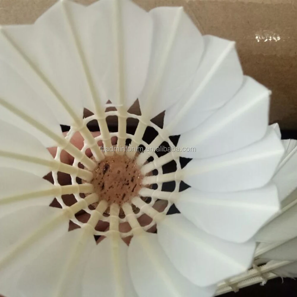 trump shuttlecock goose feather badminton birdie balls for sale