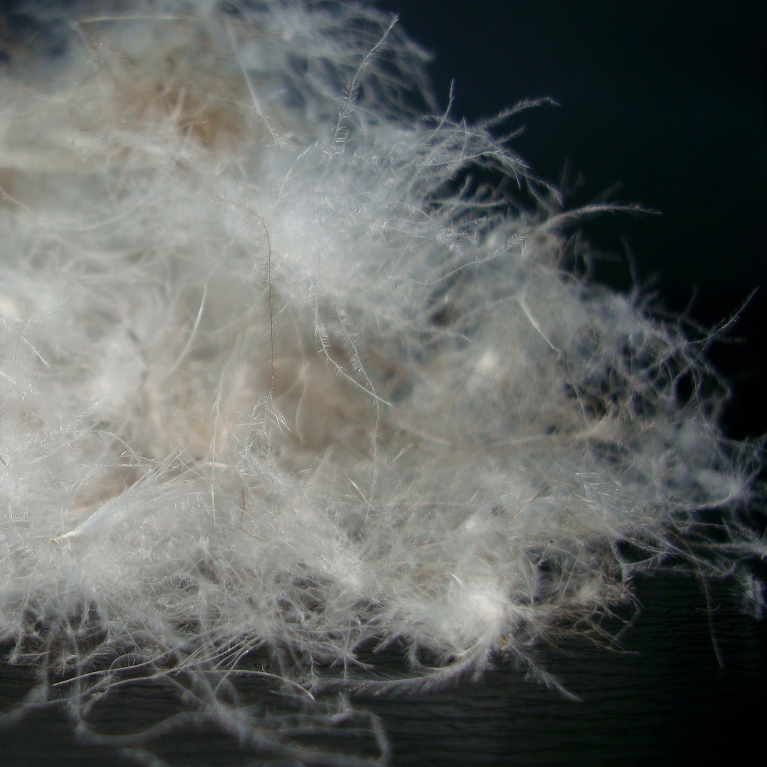 Высокое качество мягкая Природа серый гусиный пух