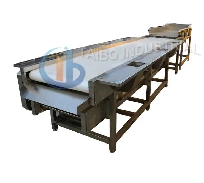 Double Layer Sorting Conveyor /picking table for processing vegetable fruit