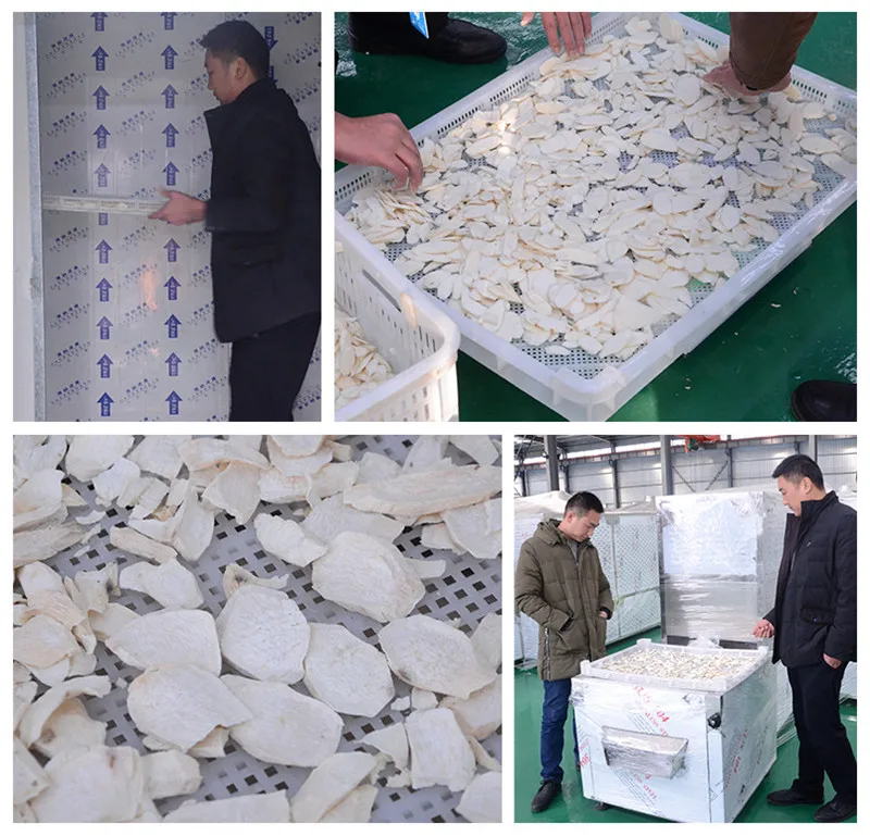 
coconut copra dryer machine / small fruit drying equipment / garlic dehydrator machine 