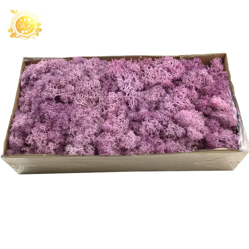 Yunnan A grade dried flowers wholesale preserved moss  for indoor decoration
