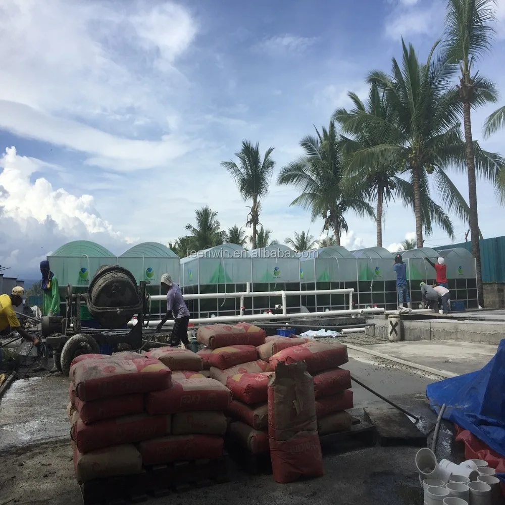 Teenwin high efficient medium size biogas plant for farms for electricity