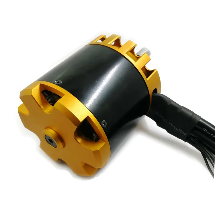 Reacher Tech RTD83-320 48V Золотой бесщеточный двигатель постоянного тока 10 кВт