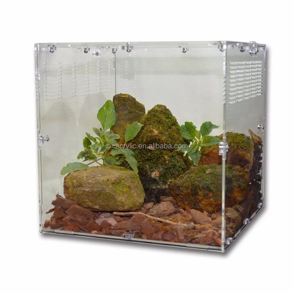 
Big and Small Clear Acrylic Pet Reptile Spider Tarantula Cage 