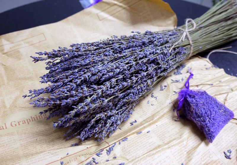 wholesale best quality dry lavender flower pure dried lavender buds