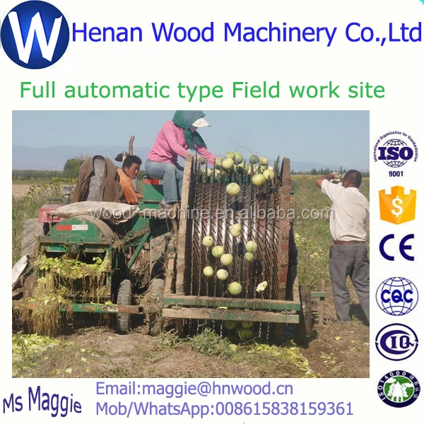 Harvesting+extracting melon seeds extractor/pumpkin seeds processing machine/pumpkin seeds extractor WhatsApp 008615838159361