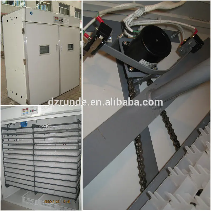 Rd-3168 автоматический яйца инкубатора для утки
