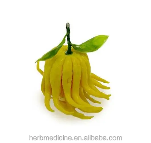 Fo shou new natural dried Finger Citron fruits slices for tea