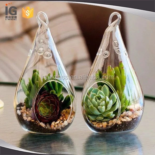 Cheap drop glass terrarium air plant succulent terrarium