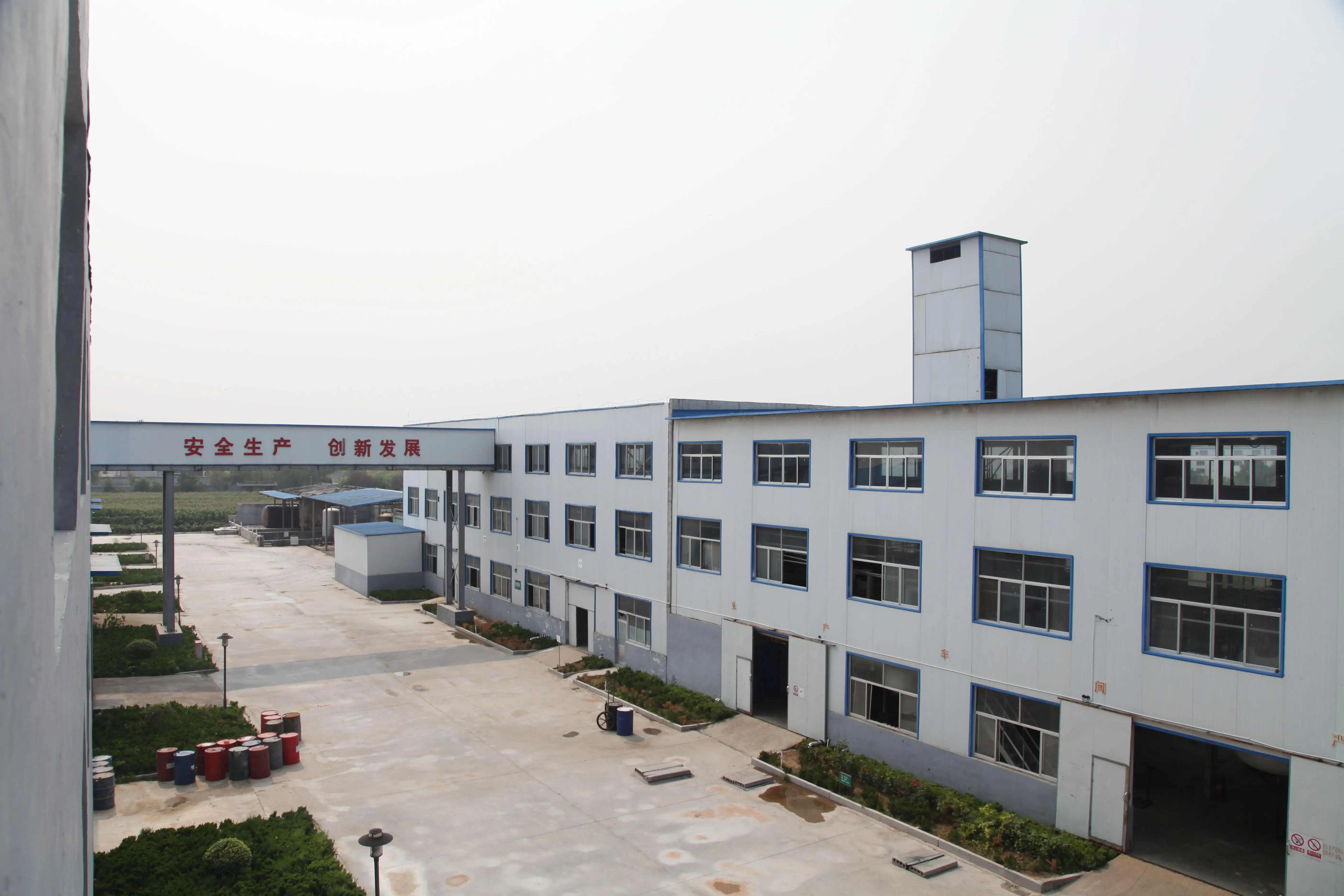 
High Quality Sodium Copper Chlorophyllin Powder and Copper Chlorophyllin E141 with competitive price 