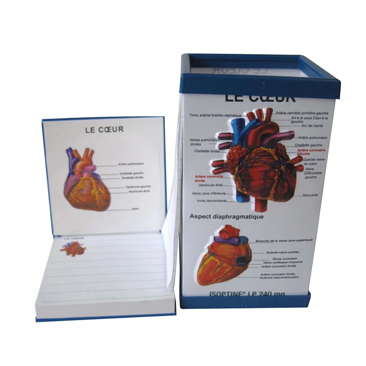 Medical Gifts Pvc Embossed Pen Holder For Doctors