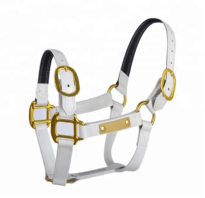 Arabian Colorful PVC Horse Halter for Horse Racing  Horse Equipment Equestrian Nylon Halter With Soft Padding