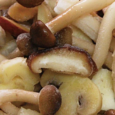 
frozen Mixed mushroom mixed Fungus shiitake 
