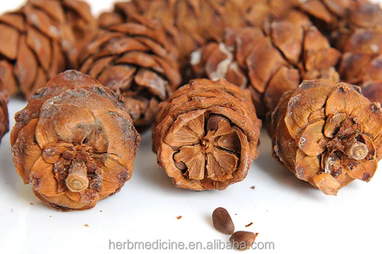 song guo Natural whole fruit shell seeds removed empty dried Pine Cone for decoration