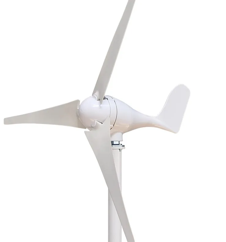 ZM050003 Hot Cakes Best Quality Wholesale 600w 12V Small Wind Generator