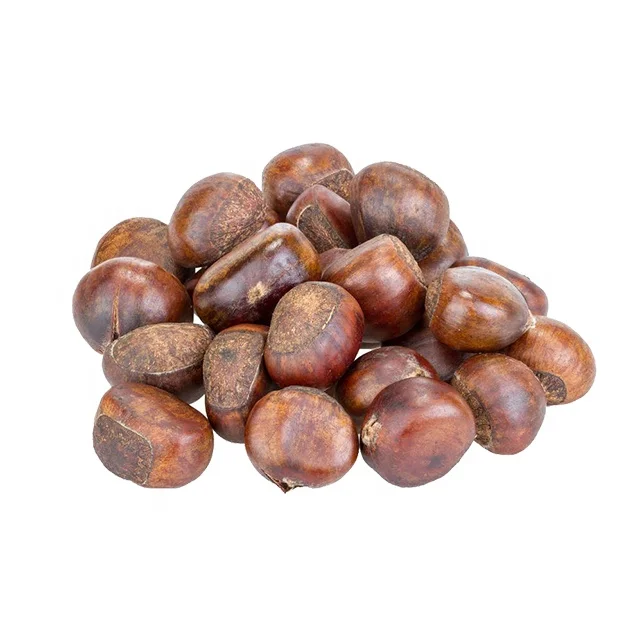 
New Crop Organic Bulk Fresh Chestnuts for sale 