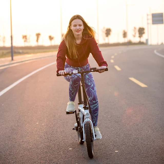 Light weight 5 PAS 36V 250W E Smart Electric  Cycle Bike