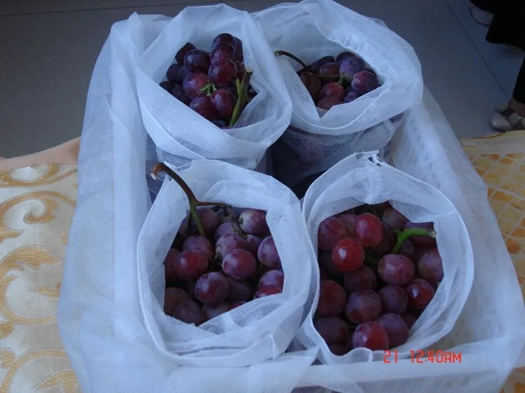 PP spunbond nonwoven agriculture fruit tree cover