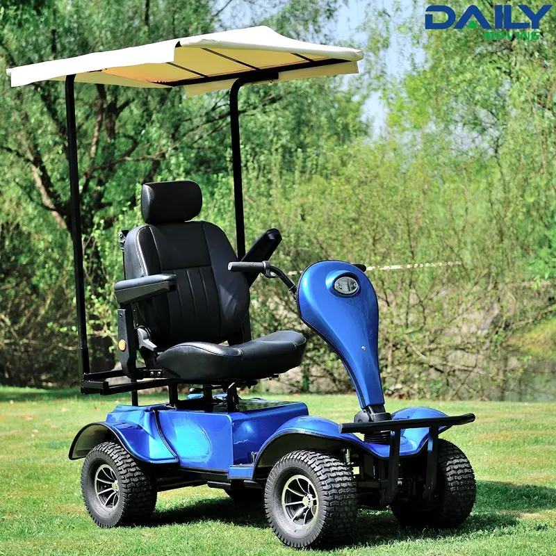 Single Seat Electric Golf Cart / Buggy with 24V 1300W Motor
