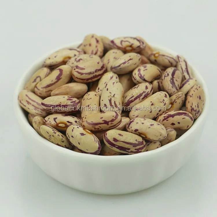 Round Light Speckled Kidney Beans LSKB for India | Pakistan | Yemen