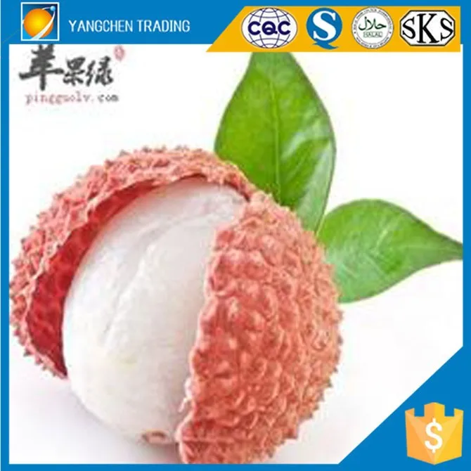 Food imprt of tropical fruits names canned lychee for malaysia