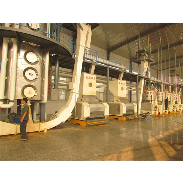 Commercial simple screw seeds squeezer Argan oil press machine