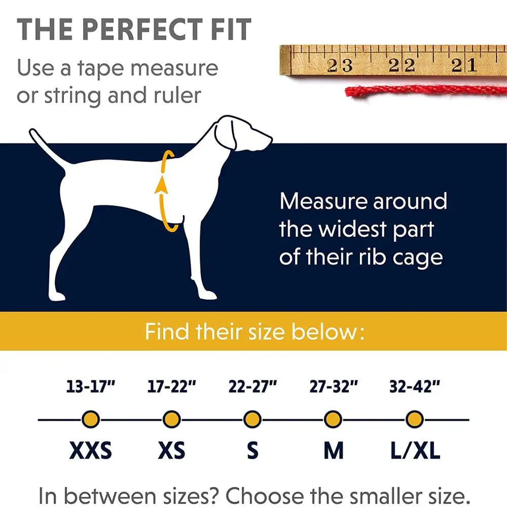 Adjustable Blue Nylon Service Lift Dog Harness with Foam Padded Handle for Working Dogs Handlers and Amputee Dogs