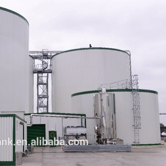 Anaerobic reactor for anaerobic digester of food Water Treatment Project