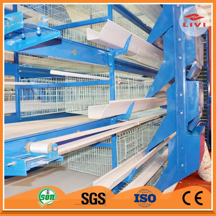 Production of equipment for poultry farming