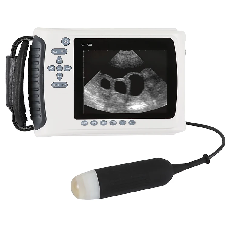 Portable Ultrasound Machine for Pigs and Sheeps