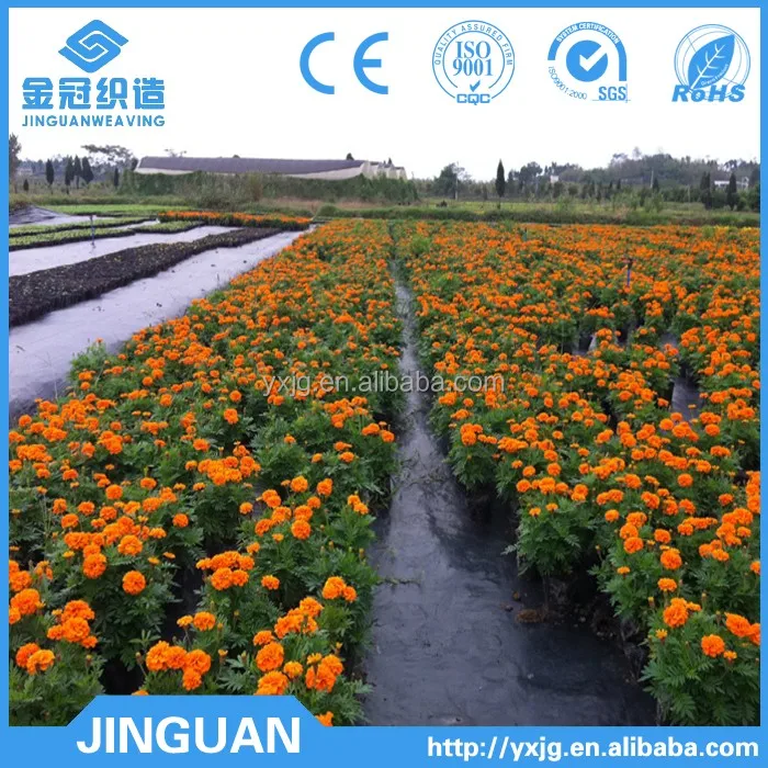 Landscape Weed Control Fabrics Weed Barrier,pp Woven Weed Mat,weed Control Fabric