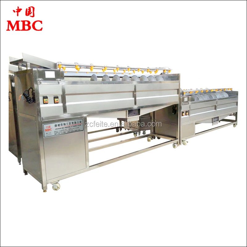 
Industrial Grape Cleaning and Washing machine for Fruit 
