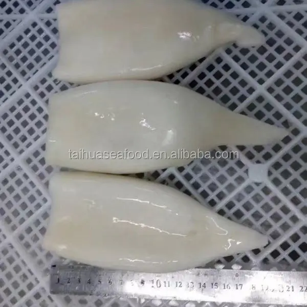 Frozen Squid Tube squid material from China in much stock