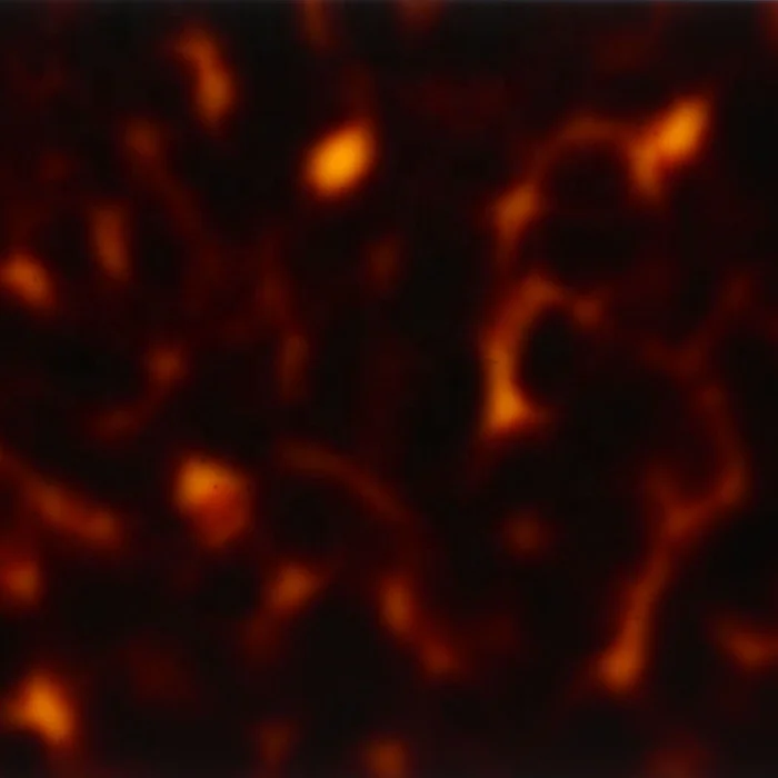 
glasses frame sunglasses decorating plastic cellulose acetate sheets for sunglass glasses eyewear buttons frame jewelry sheets 