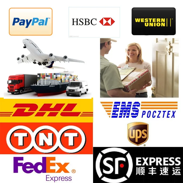 payment and shipping