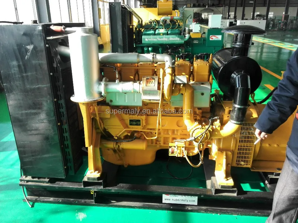 250kva natural gas generator by reliable Chinese gas engine