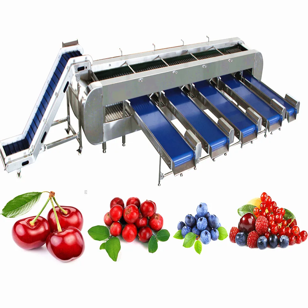 Fruits Washing Machine for Apricot Processing Line with Blackberry Strawberry Cleaning Sorting Equipment Machinery